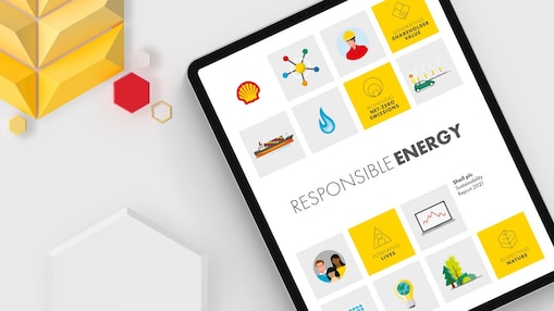 Raport Shell na temat zrównoważonego rozwoju, wersja online