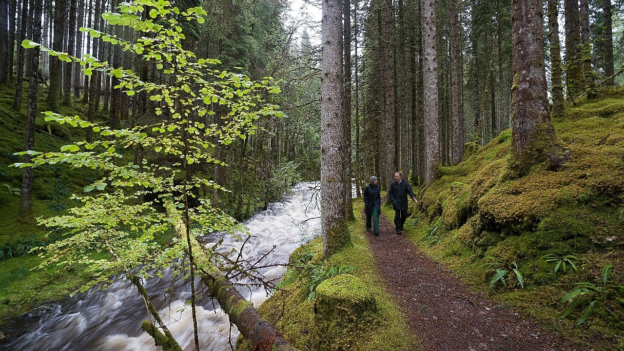 Mężczyzna i kobieta spacerujący wzdłuż rwącej rzeki w lesie