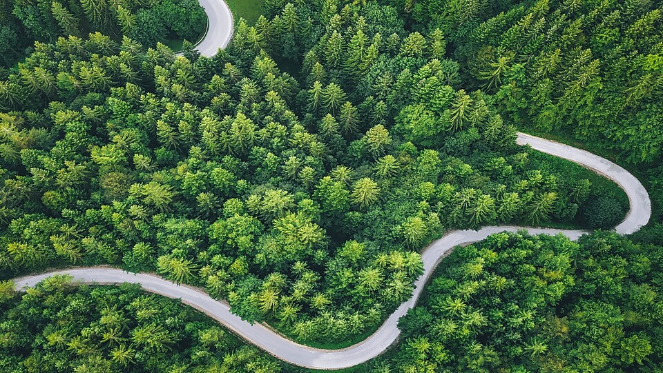 Kręta droga pośród lasu – dekarbonizacja transportu i jej cele.