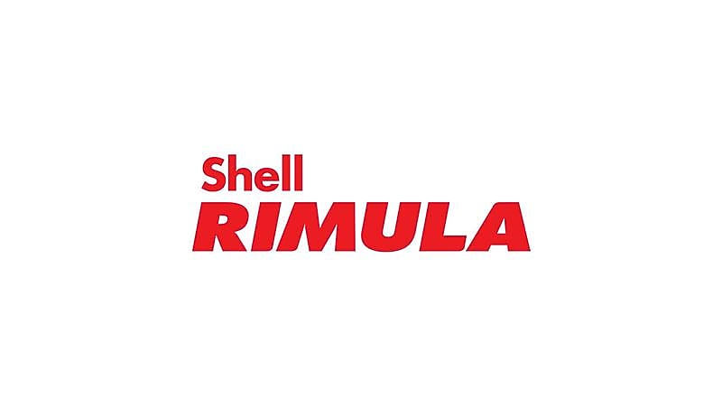 Shell Rimula