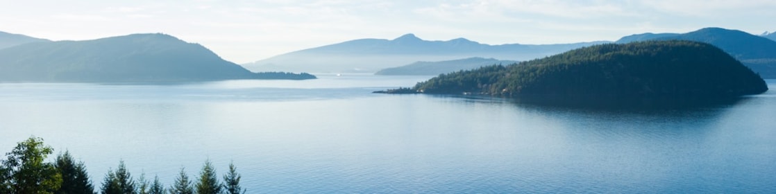 sea