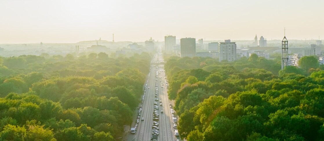 Autostrada, krajobraz wiejski, las