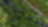 aerial view of forest