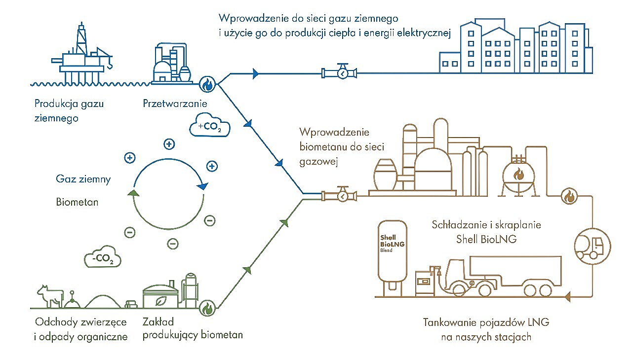 Element z tekstem po prawej stronie