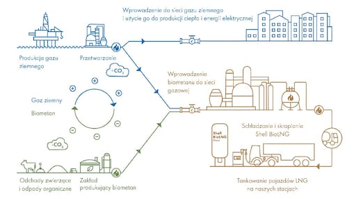 Element z tekstem po prawej stronie