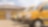 Yellow vans parked