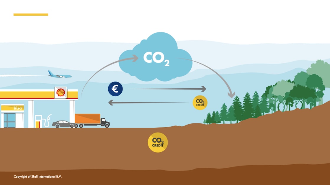 co2 interactivw