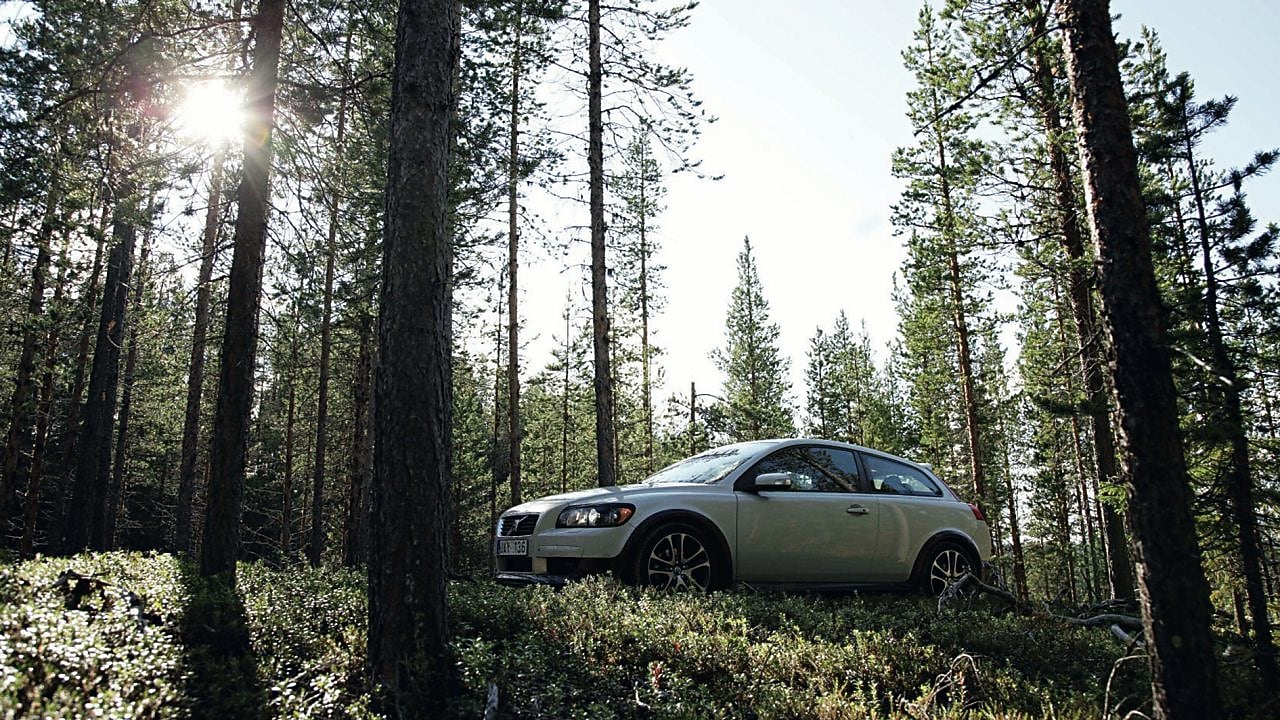 Biały sedan zaparkowany w środku lasu