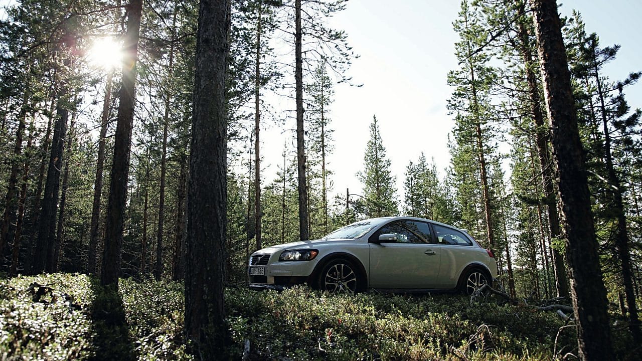 Biały sedan zaparkowany w środku lasu
