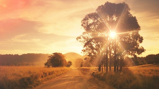 Stuart Highway w Australii