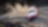 Car In Race